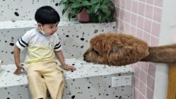 -Moni星球萌宠·小马宝莉·灵蛇·高端高阶全萌宠互动体验俱乐部(红豆国际广场店)
