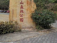 -大尖山公园