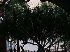 -杨梅坑