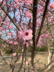 -格林童趣专业儿童摄影(公益西桥店)