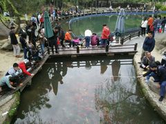 -白马涧龙池景区