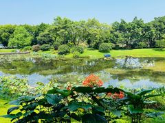 -云溪植物园