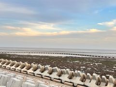 -南汇嘴观海公园
