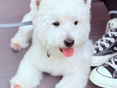 -北京清河万象汇