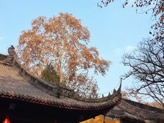 -灵谷景区