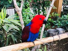 -南宫五洲植物乐园