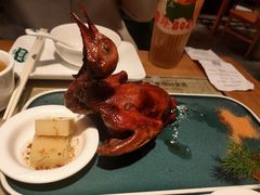 红烧乳鸽-大鸽饭(北京路店)
