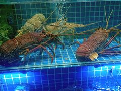 -大东海海鲜酒楼(渔人码头总店)