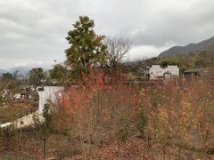 -塔川景区