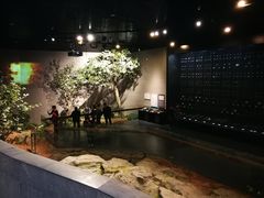 -北京周口店北京人遗址博物馆