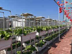 -三分地生态园·儿童乐园