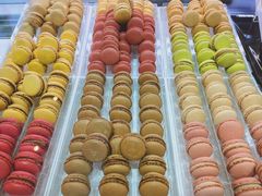 -Pierre Marcolini(德基广场店)