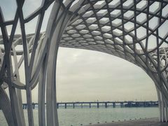 -宝安西湾红树林湿地公园