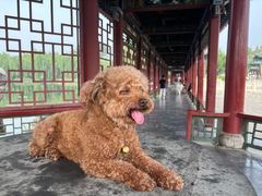 -晋祠公园