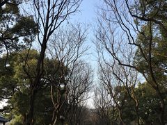 -苏堤停车场