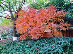-白马涧龙池景区
