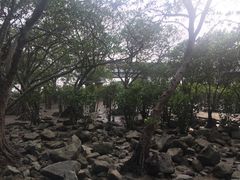 -宝安西湾红树林湿地公园