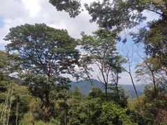 -黄埔油麻山森林公园