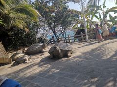 -海南分界洲岛旅游区