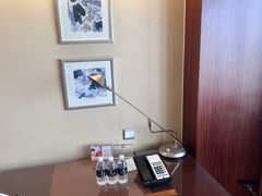 -上海波特曼丽思卡尔顿酒店