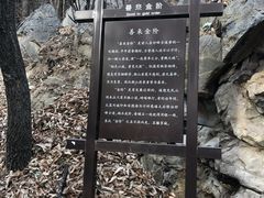 -阳台山自然风景区