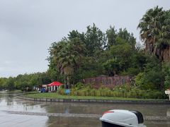 -洱海月湿地公园