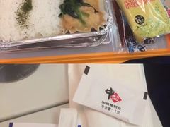 -全日本空输株式会社(上海办事处)