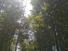 -南山风景名胜区