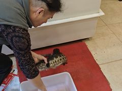 -小四川餐厅(纪庄子北道店)