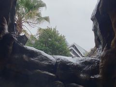 -天芳悦潭度假村温泉