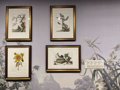-遇见博物馆(遇见海洋沉浸式奇幻光影展)