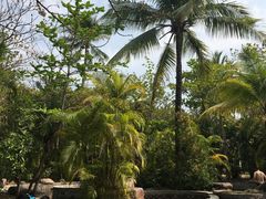 -三亚珠江南田温泉度假区