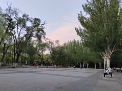 -青城公园