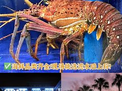 -小海豚·老字号海鲜餐厅(三亚湾店)