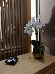 -一本X目奈子日式单根美睫专业店