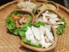 -滇野云南野生菌餐厅(陕西南路店)