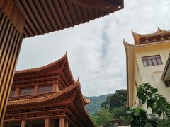 -深圳仙湖植物园