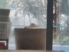 -凡老头米线砂锅(古荡新村西粮站)