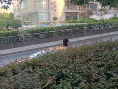 -重庆医科大学附属第一医院(本部)