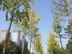 -唐城墙遗址公园