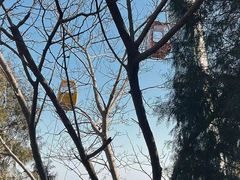 -八大处公园