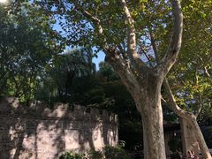 -静安公园(静安寺街道)