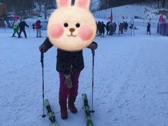 -亚布力新体委滑雪场