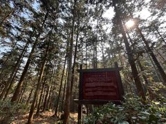 -冶父山国家森林公园