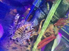 -沈阳海洋探索中心