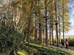 -东湖生态旅游风景区