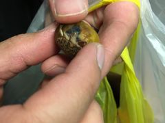 -好好栗子店(海宁总店)