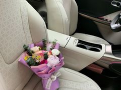 -上海浦东smart汽车全功能店(金桥店)