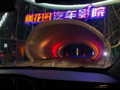 -枫花园汽车电影院(朝阳公园店)