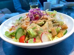 蔬菜沙拉-新白鹿餐厅(虹桥南丰城店)